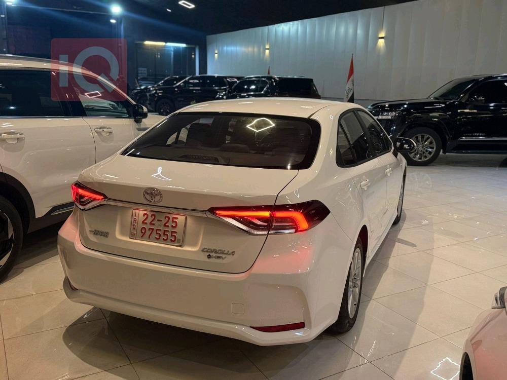 تويوتا كورولا